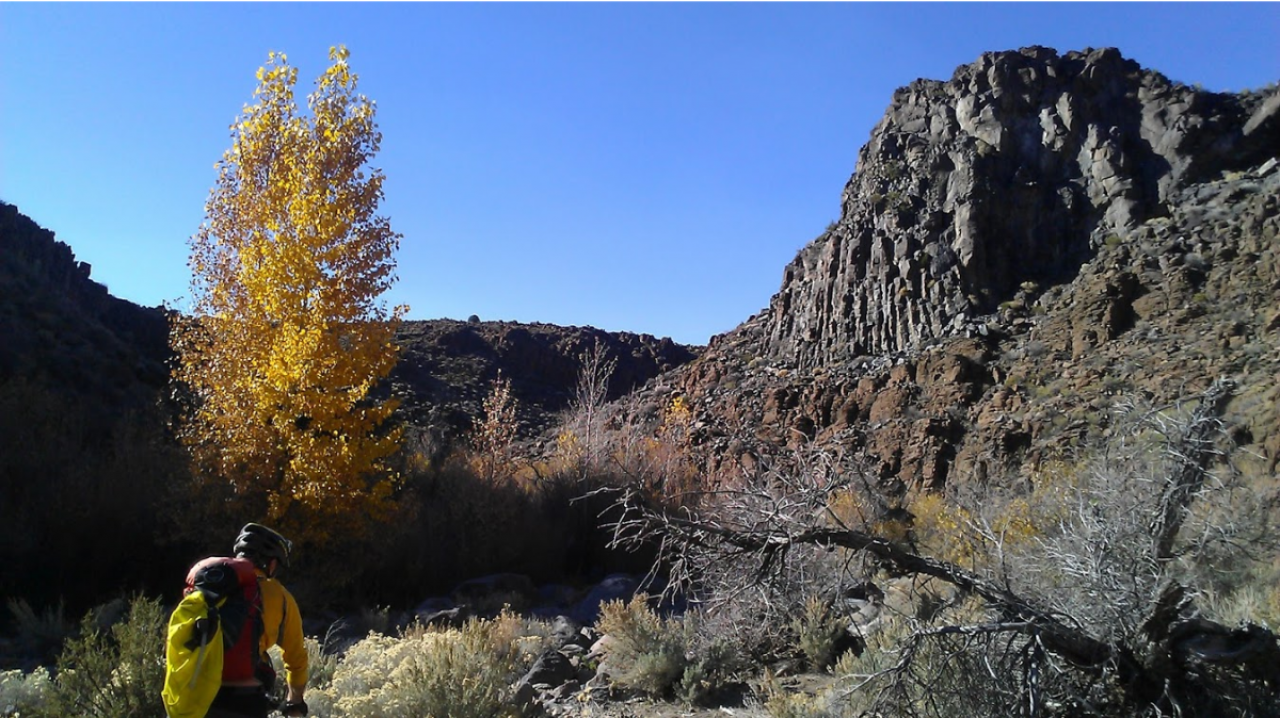 Read our October newsletter!