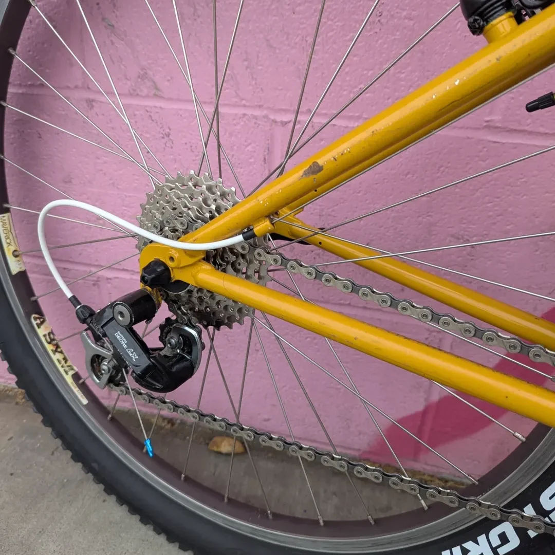 SnapInsta.to_573149470_18539024308030745_1497792254485163370_n