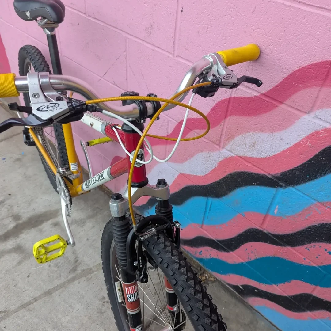 SnapInsta.to_573177034_18539024344030745_9041048561709416061_n