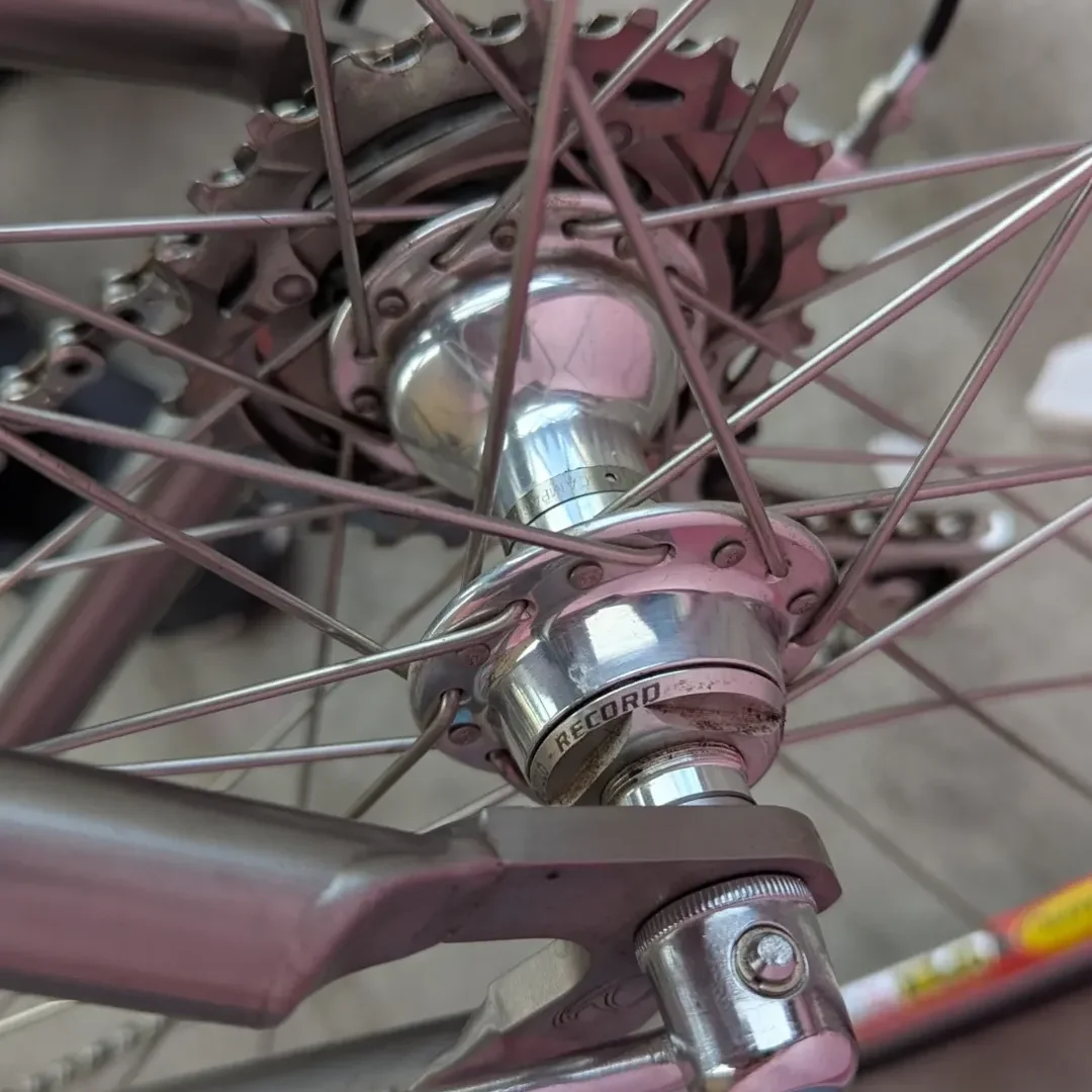 SnapInsta.to_580054389_18542751970030745_6331464131509430207_n