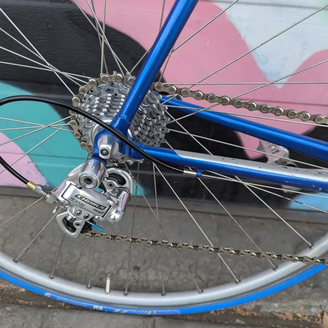 SnapInsta.to_590729767_18546328411030745_2910160569605165333_n